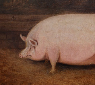 A Prize Sow - Das Schwein In Der Kunst