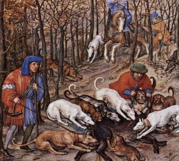 Il maiale nell